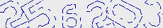 Check code
