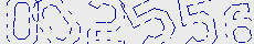Check code
