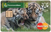 MasterCard Standard  (15164 bytes)