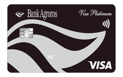Visa Platinum  (31548 bytes)